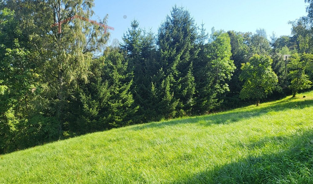 Prodej stavebního pozemku 3 186 m², Příkrý – náhled fotky 4