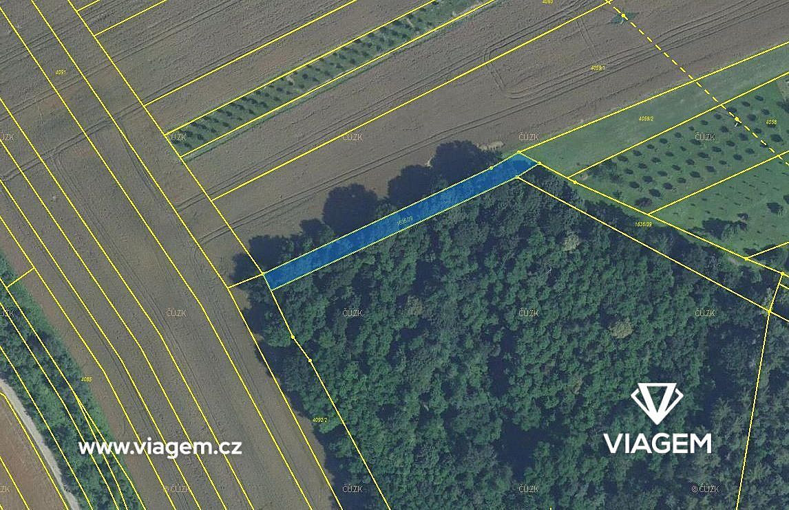 Les 910 m², Podíl 33 % o výměře 303 m² – pohled 2