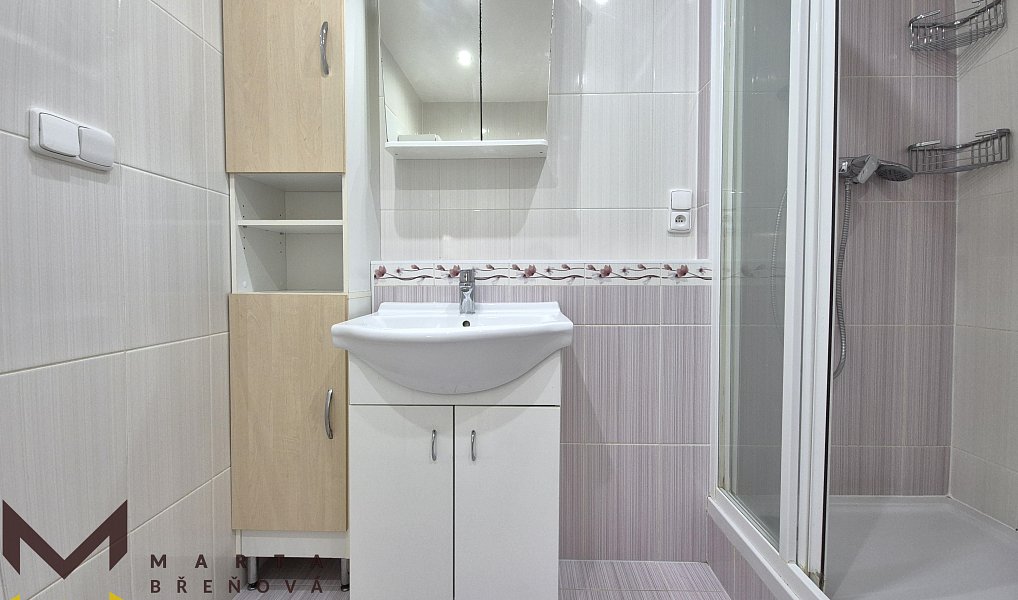 Pronájem bytu 1+kk 33 m², Brno – náhled fotky 5