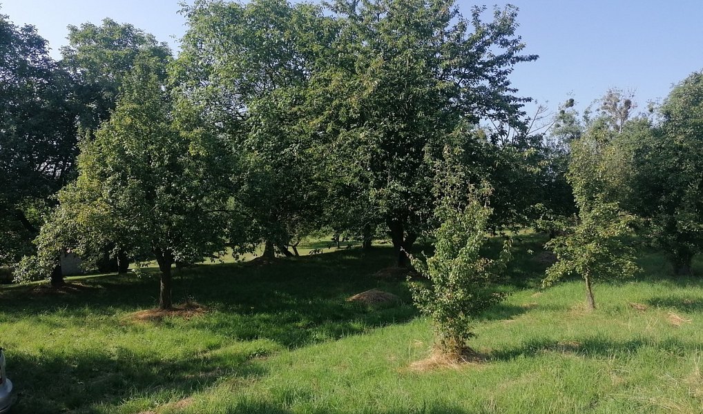 Prodej stavebního pozemku 2 940 m², Votice – náhled fotky 4