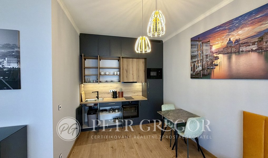 Pronájem bytu 1+kk 35 m², Poděbrady – náhled fotky 6