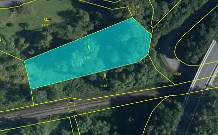 Prodej lesa 1 838 m², Mikulovice - Zbýšov