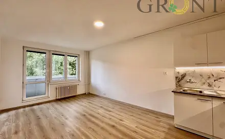 Pronájem bytu 1+kk 32 m², Čsl. armády, Karviná - Hranice