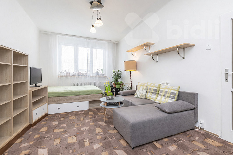 Prodej bytu 1+1 42 m² — photo 4