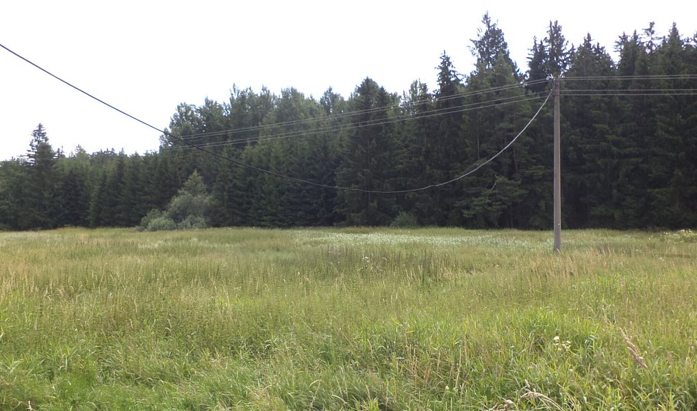 Prodej pole 13 137 m², Chodský Újezd – náhled fotky 2