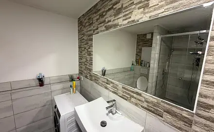 Prodej bytu 3+1 54 m², K. H. Borovského, Most
