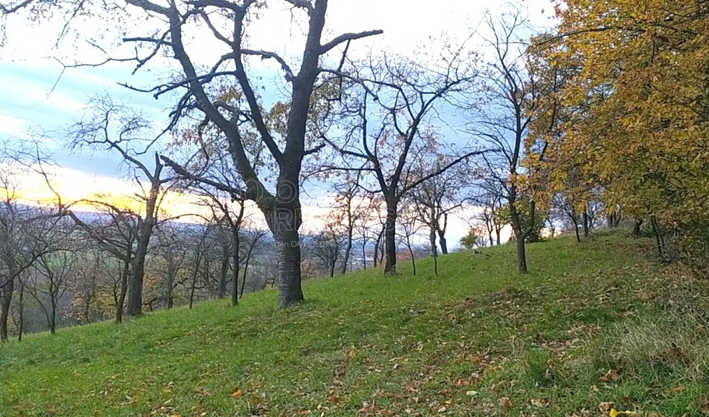 Prodej zahrady 3 492 m², Přílepy – náhled fotky 2