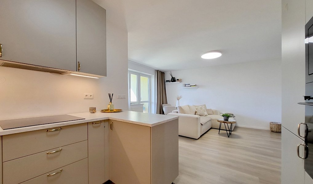 Prodej bytu 2+kk 65 m², Brno – náhled fotky 8