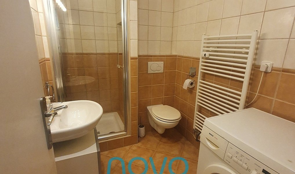 Pronájem bytu 1+1 43 m², Praha – náhled fotky 4