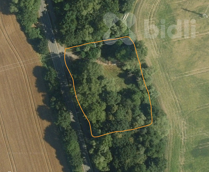 Pronájem louky 3 000 m²