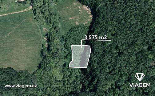 Prodej lesa 1 936 m², Žlutava, okres Zlín