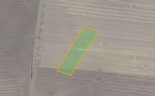 Prodej pole 3 004 m², Sadská, okres Nymburk