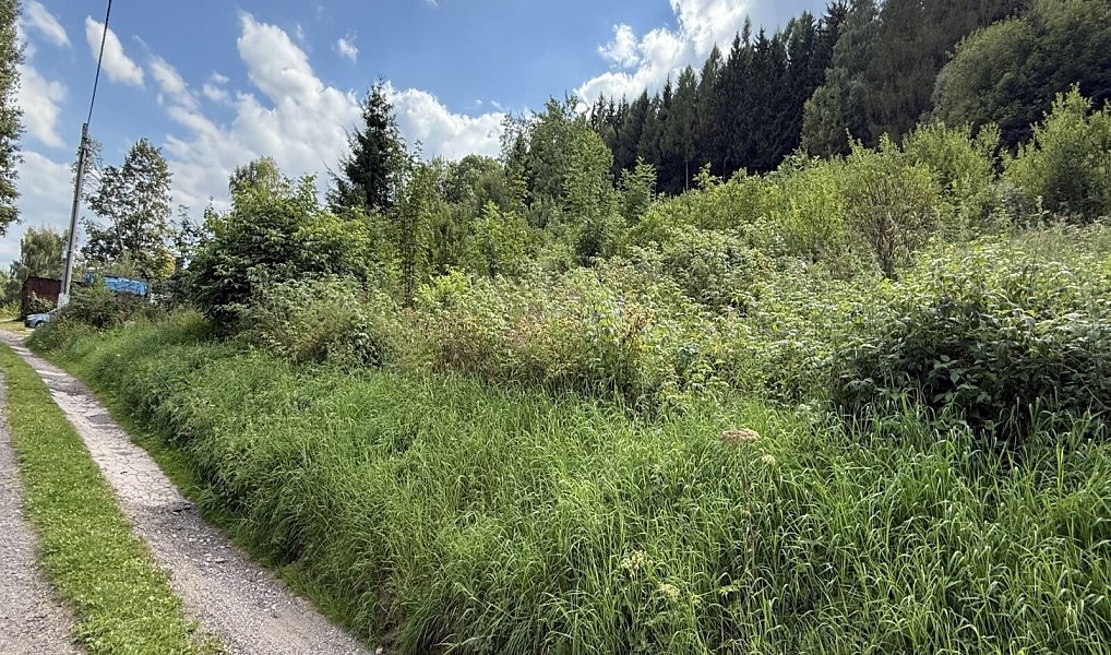 Prodej stavebního pozemku 902 m², Radvanice – náhled fotky 2