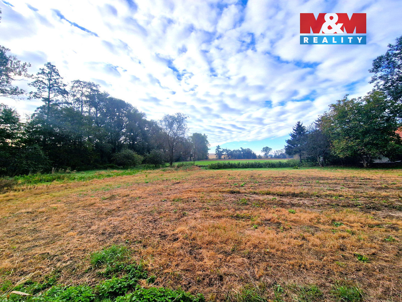 Fotka 6 z 12