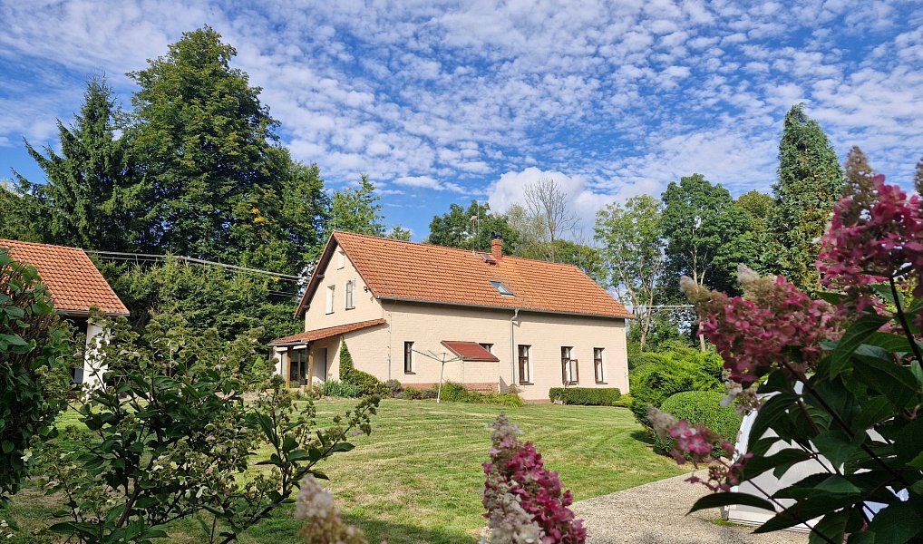Prodej domu 340 m² s pozemkem 4 725 m², Verneřice – náhled fotky 7