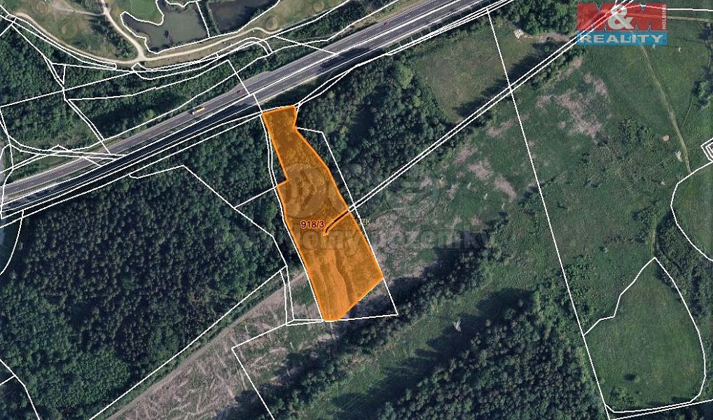 Prodej lesa 13 827 m², Dolní Rychnov – náhled fotky 5