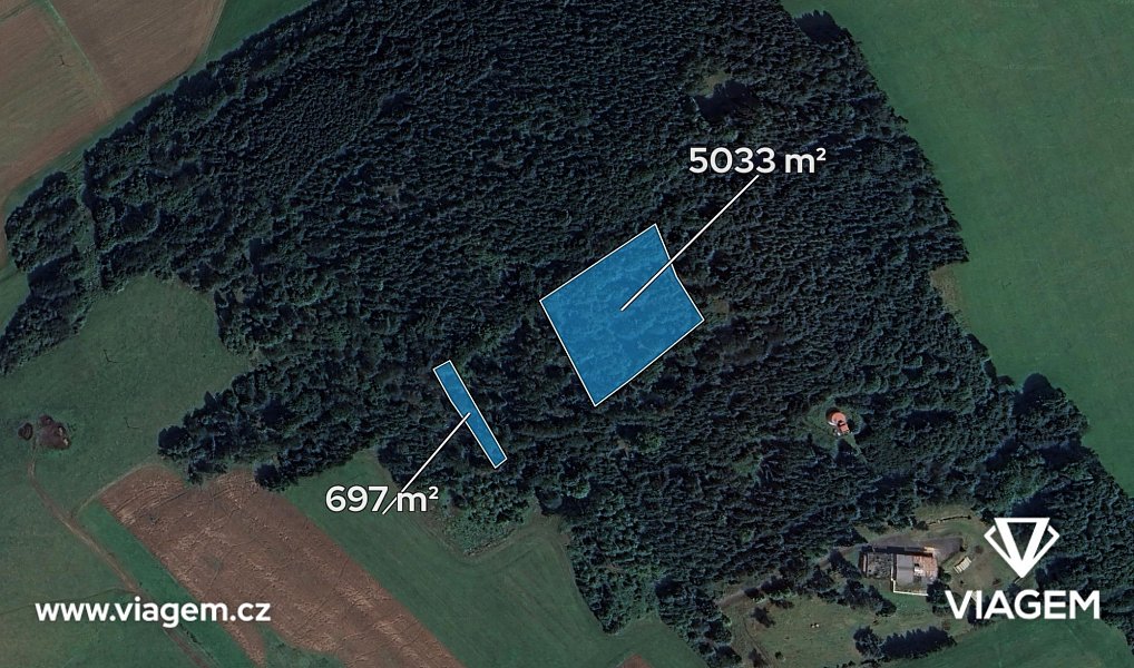 Prodej lesa 5 730 m², Chodská Lhota – náhled fotky 2