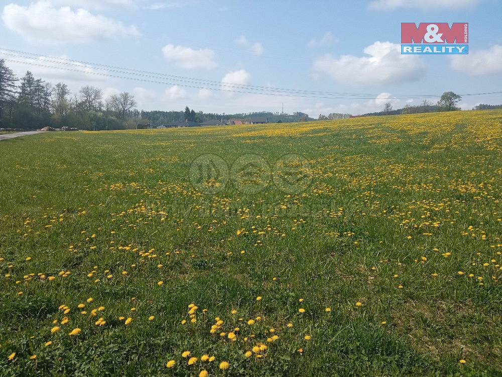 Prodej pole 68 457 m² – fotografie 5