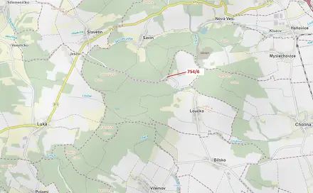 Dražba lesa 294 m², Loučka