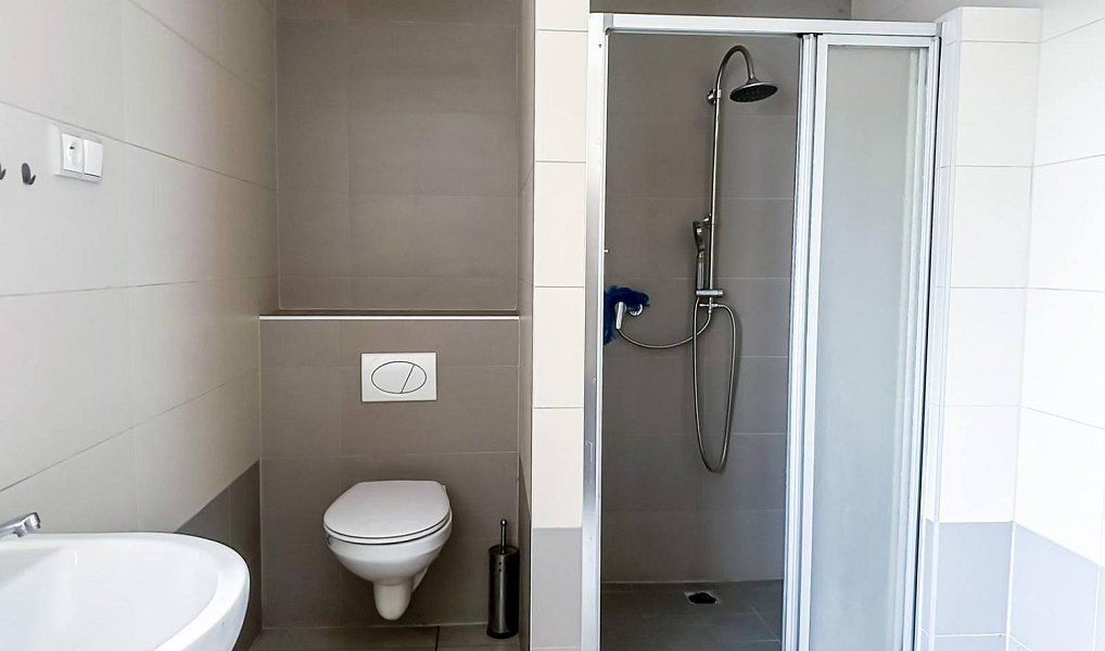 Prodej domu 300 m² s pozemkem 10 228 m², Jeřmanice – náhled fotky 30