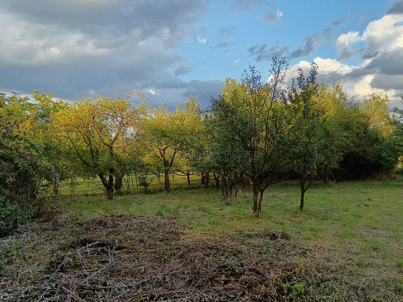 Fotka 4 z 15