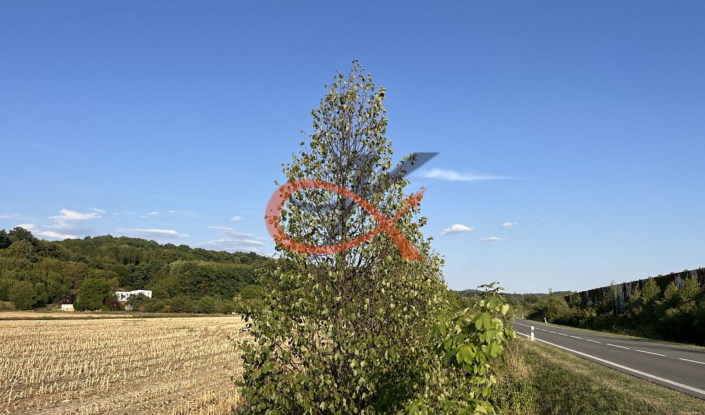 Prodej pole 4 766 m², Lešná – náhled fotky 4