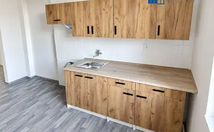 Pronájem bytu 1+1 40 m², Zabrušany - Želénky, okres Teplice