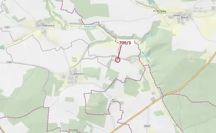 Dražba lesa 301 m², Osek