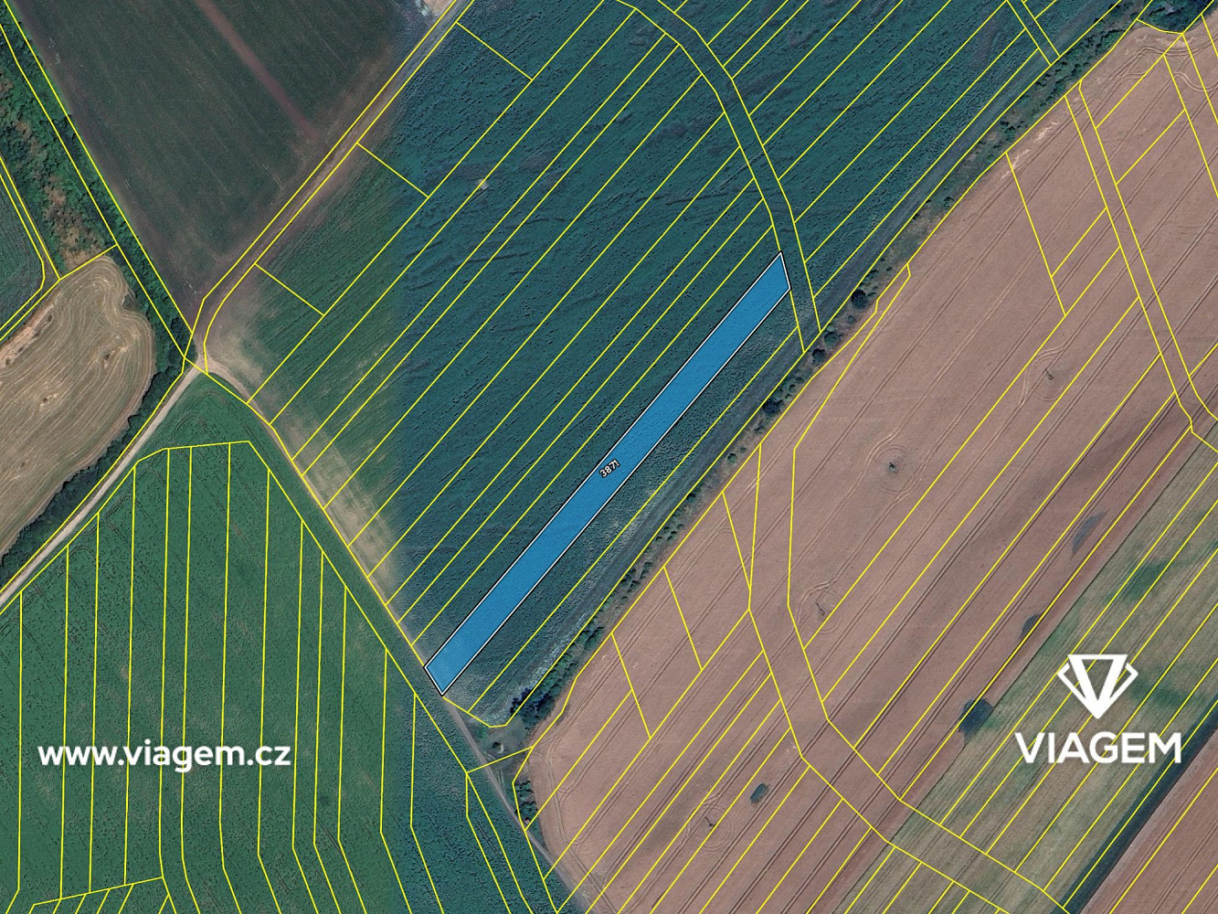 Prodej pole 5 366 m² – fotografie 4