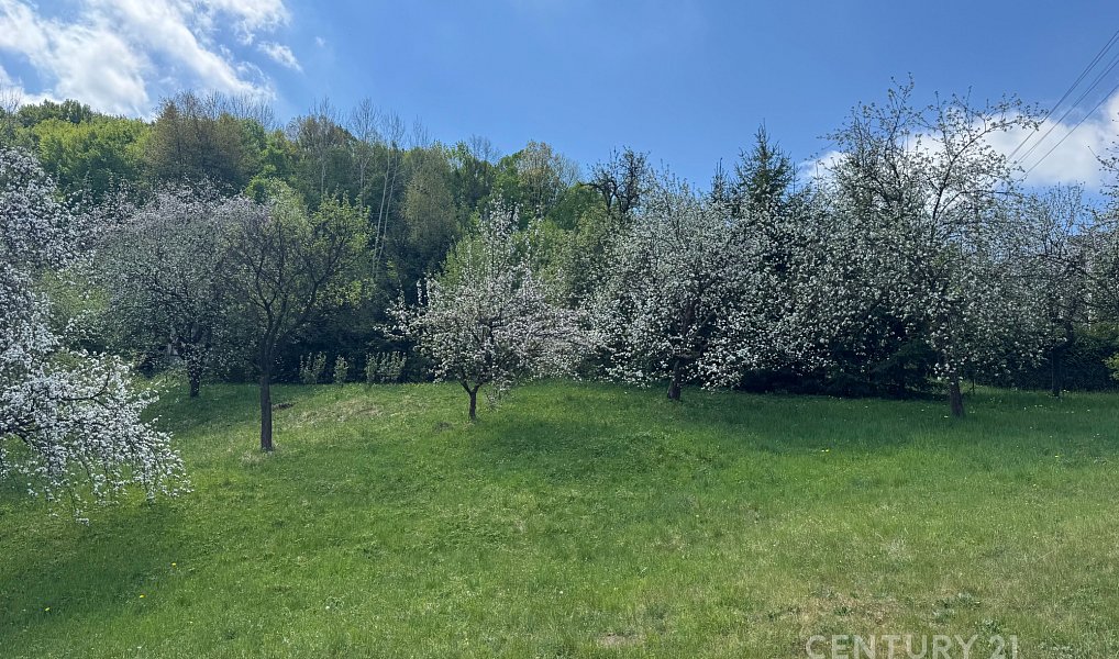 Prodej chaty/chalupy 87 m² s pozemkem 2 247 m², Lužná – náhled fotky 10