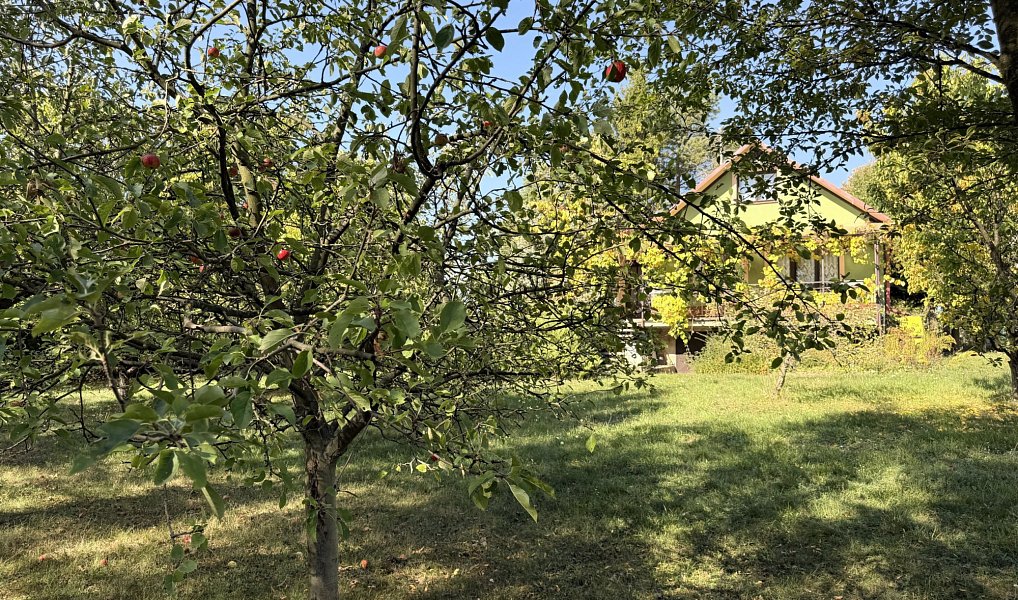 Prodej chaty/chalupy 44 m² s pozemkem 902 m², Bořenovice – náhled fotky 7