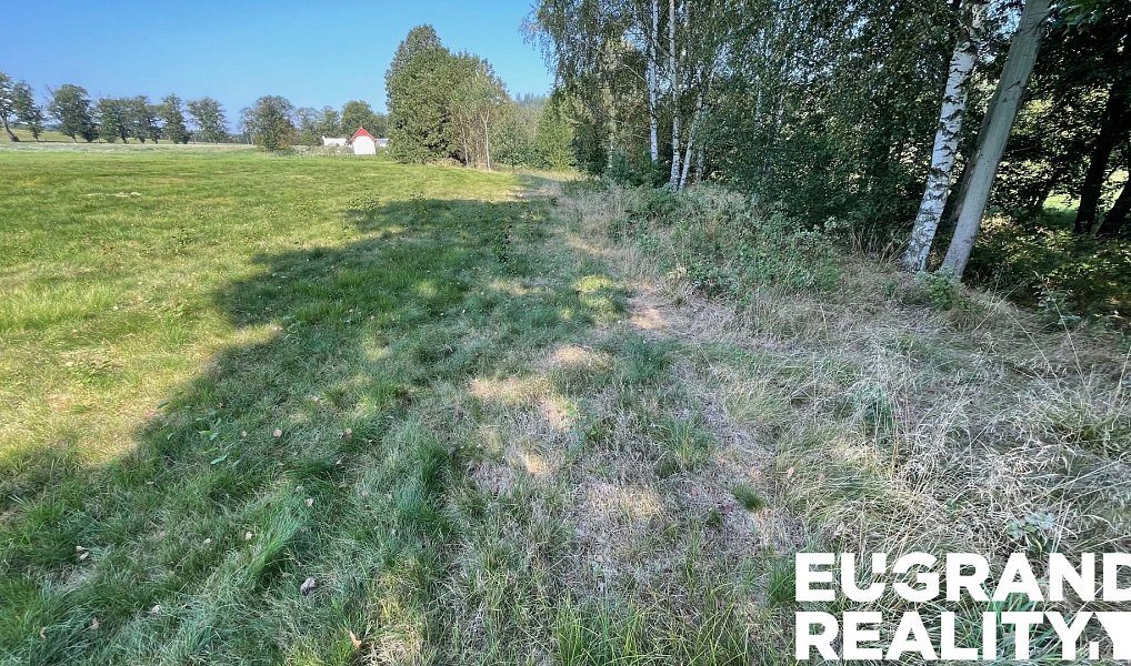Prodej louky 14 798 m², Šluknov – náhled fotky 8