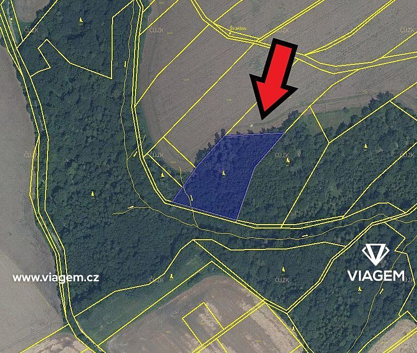 Les 6 323 m², Podíl 56 % o výměře 3 513 m² – pohled 2
