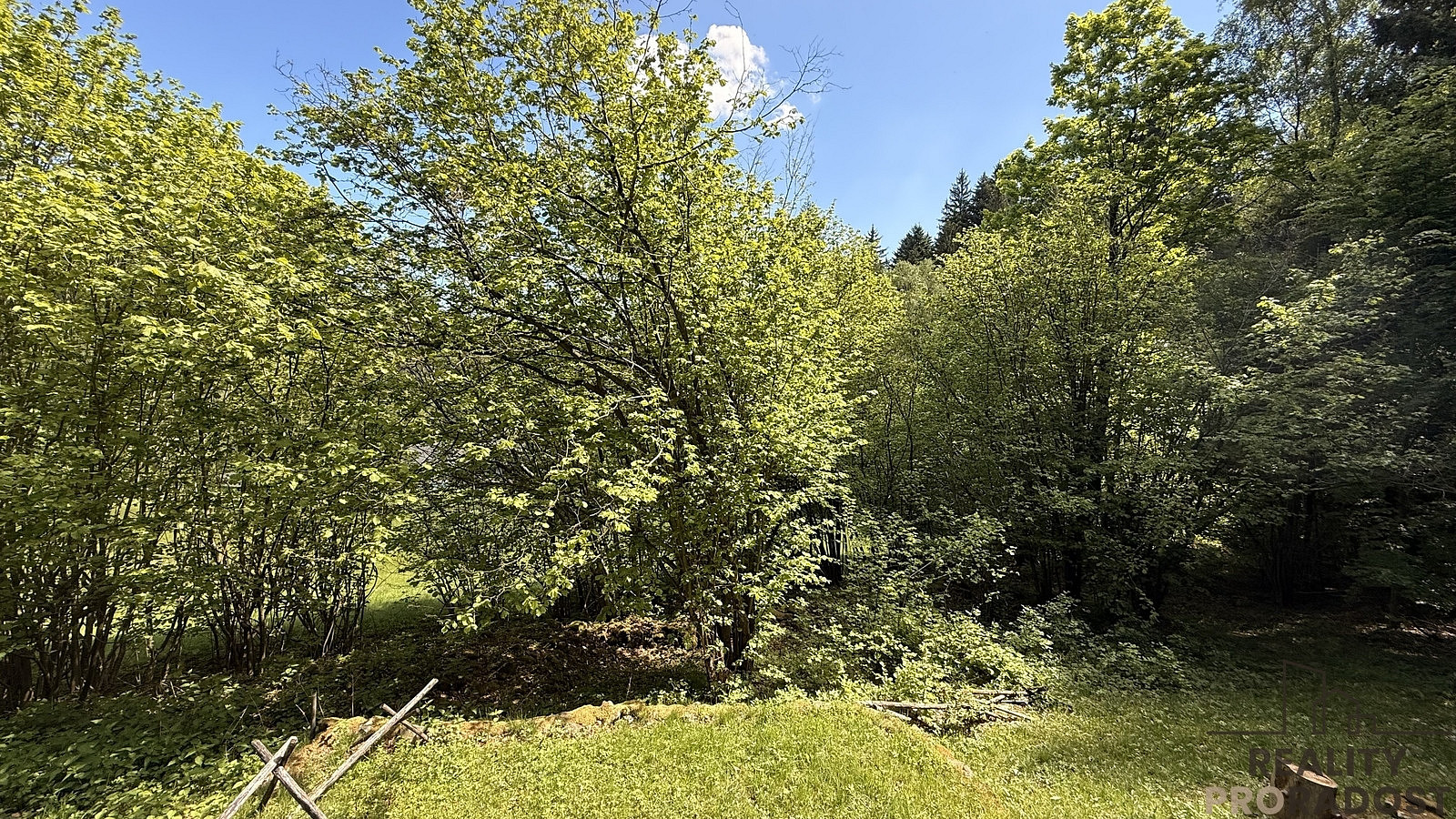 Prodej chaty/chalupy 50 m² s pozemkem 350 m² — photo 5
