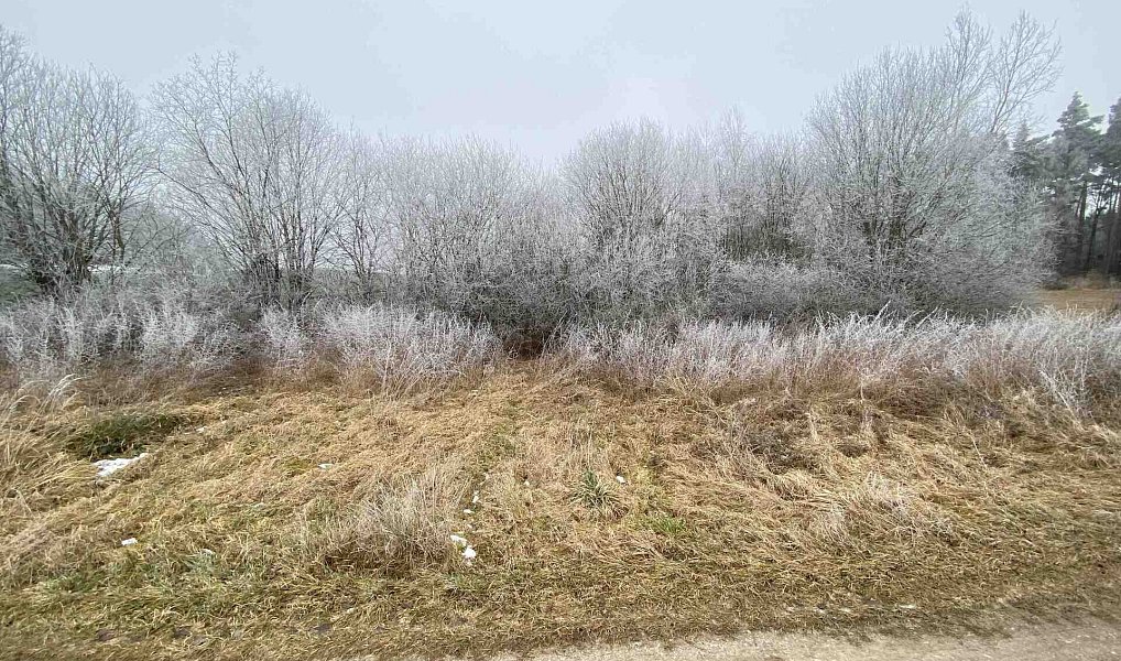 Prodej pole 13 059 m², Slatina – náhled fotky 17