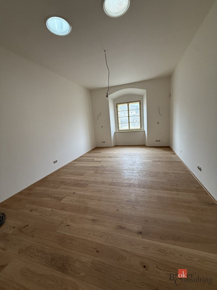 Pronájem bytu 1+kk 48 m² — photo 5