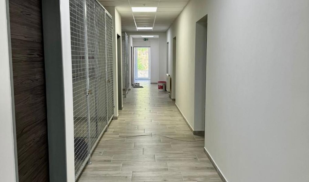Ostatní