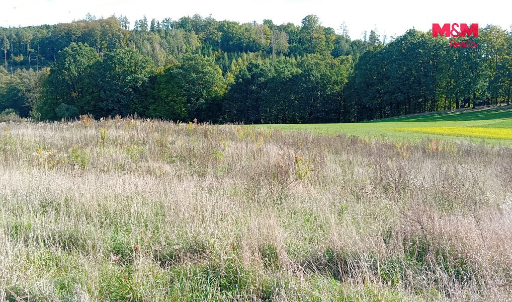 Prodej stavebního pozemku 6 409 m², Řehenice – náhled fotky 4