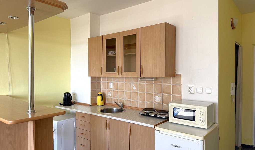 Pronájem bytu 1+kk 35 m², Plzeň – náhled fotky 6