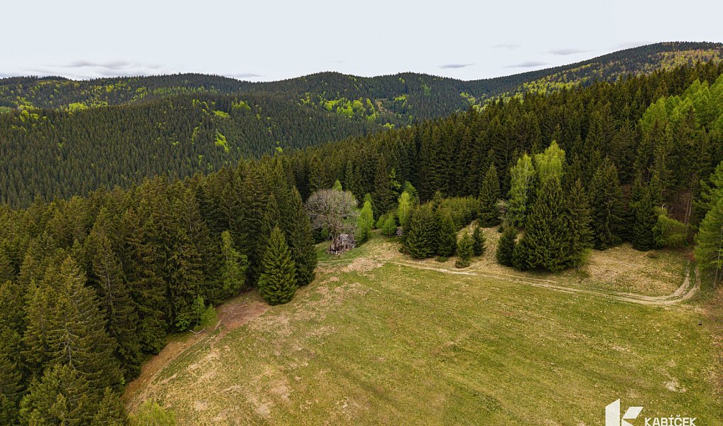 Prodej chaty/chalupy 94 m² s pozemkem 934 m², Velké Karlovice – náhled fotky 15