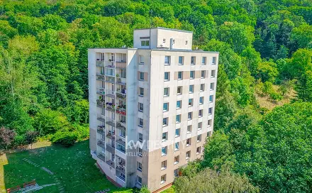 Prodej bytu 2+1 56 m², Tolstého, Ústí nad Labem - Střekov