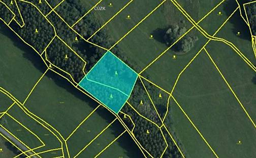 Prodej lesa 4 315 m², Seč, okres Chrudim