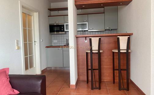Pronájem bytu 1+kk 26 m², Česká, Brno - Brno-město