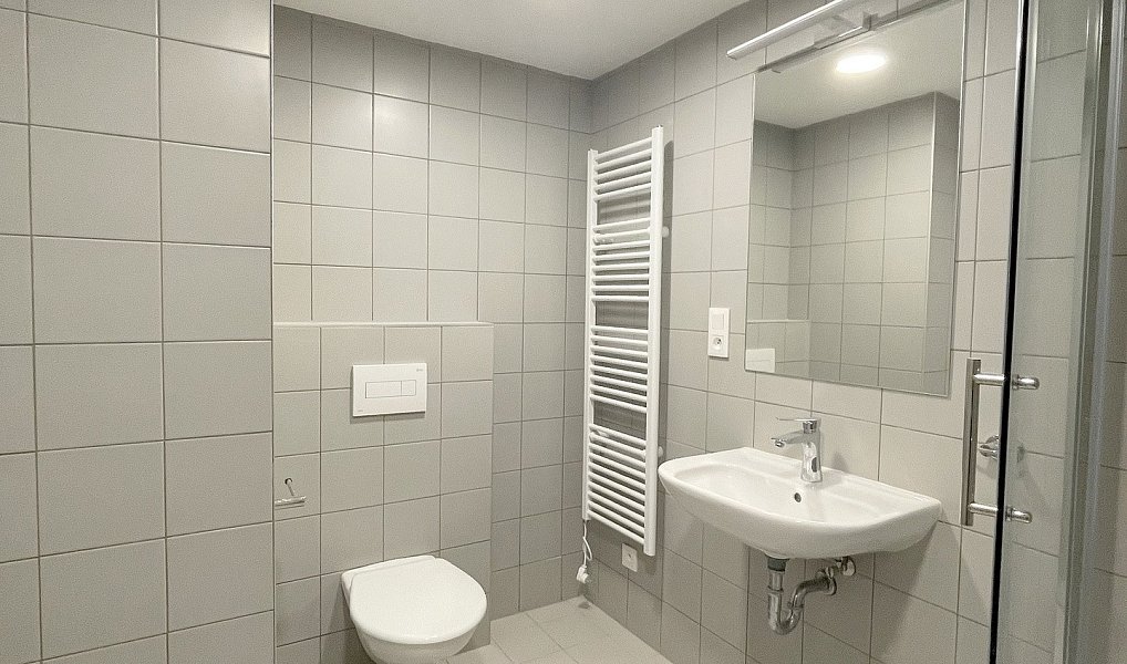 Pronájem bytu 1+kk 41 m², Olomouc – náhled fotky 8