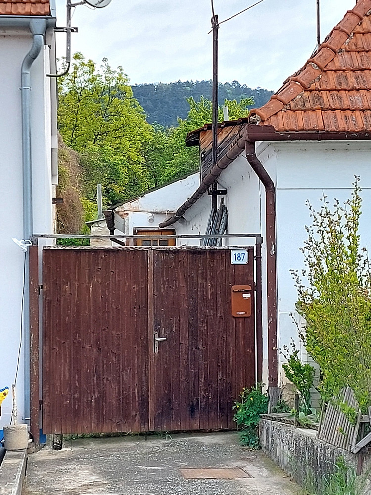Fotka 12 z 13
