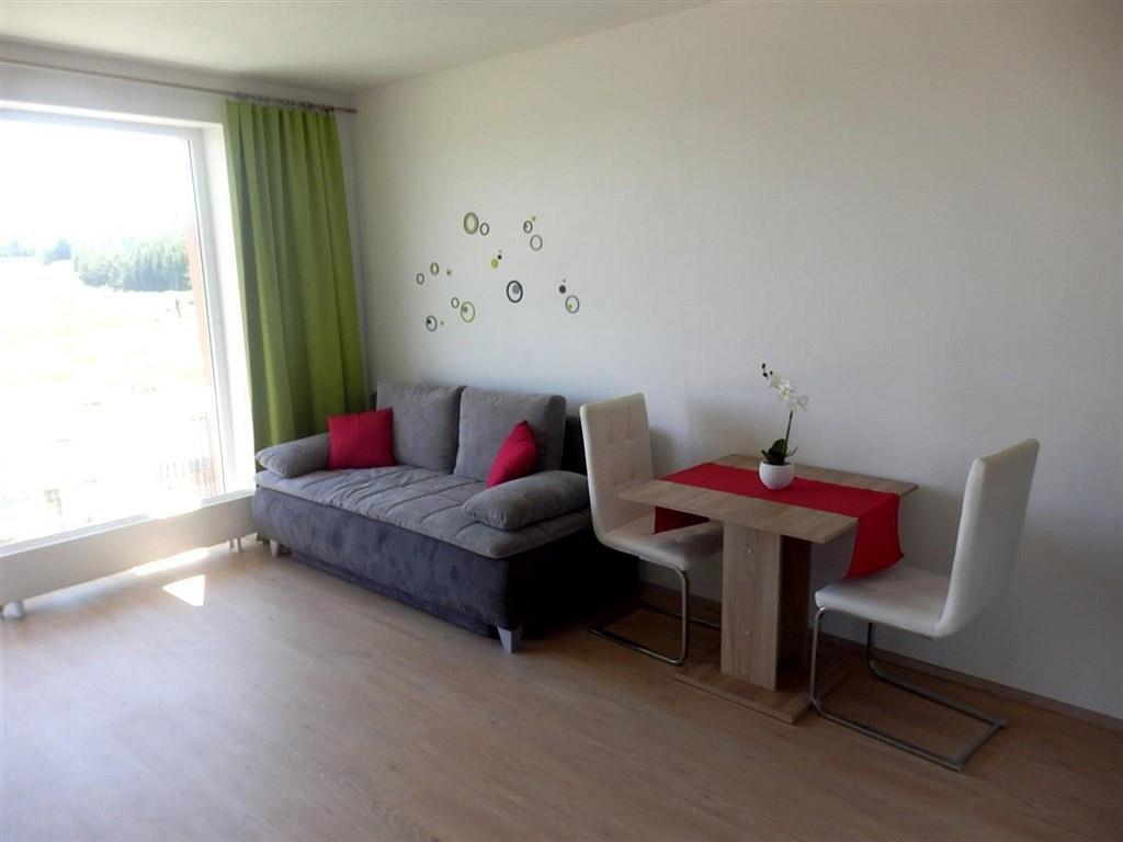 Pronájem bytu 1+kk 36 m² — photo 4