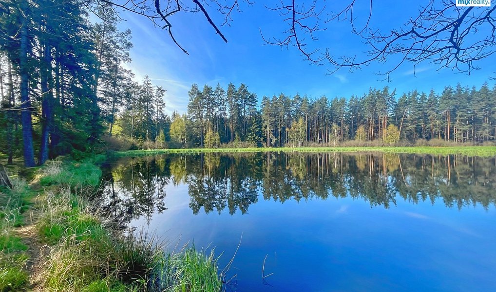 Prodej vodní plochy 16 545 m², Trstěnice – náhled fotky 8