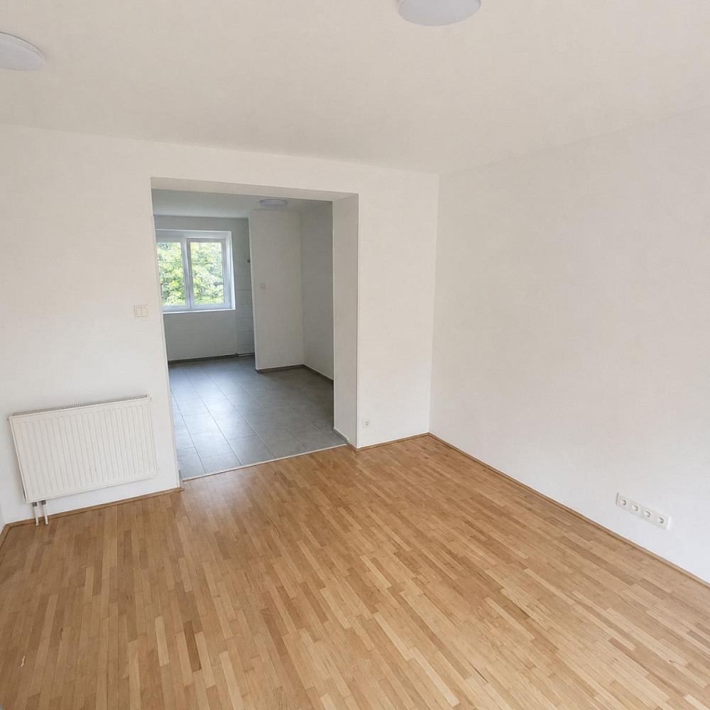 Pronájem bytu 2+1 55 m² – fotografie 3