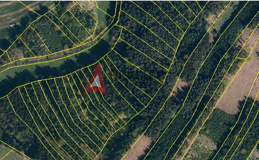 Prodej lesa 111 477 m², Moraveč, okres Pelhřimov