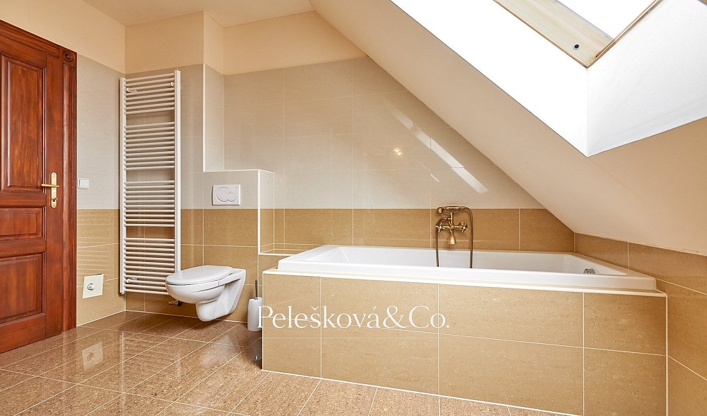 Pronájem bytu 4+kk 177 m², Praha – náhled fotky 9